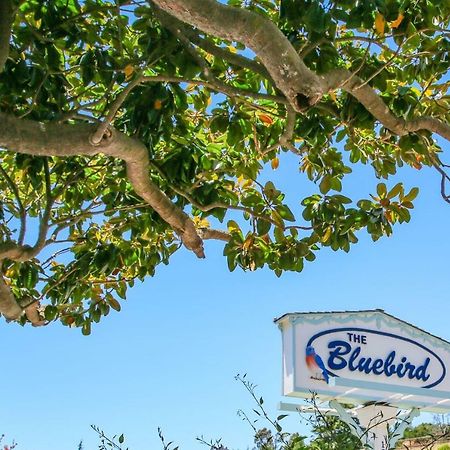 Bluebird Inn Cambria Exterior photo